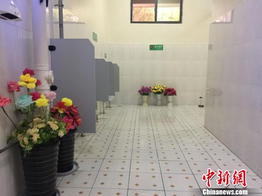 ͼΪ�������������ޡ���������Ұ ��