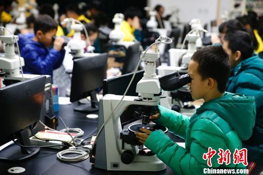 ����ʯΧ������İ��ء��γ��ϣ���������������΢���۲���ʯ��Ƭ ���� ��