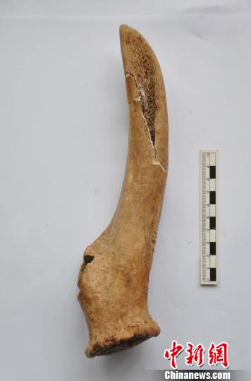 ͼΪ������¹������������ʡ�����о�Ժ ��