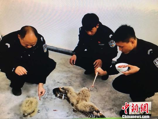 ͼΪ��Ϊ���^ιʳ ���� ��