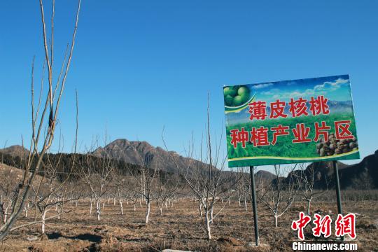 ��ڴ�ı�Ƥ������ֲƬ�������ڿ��� ��