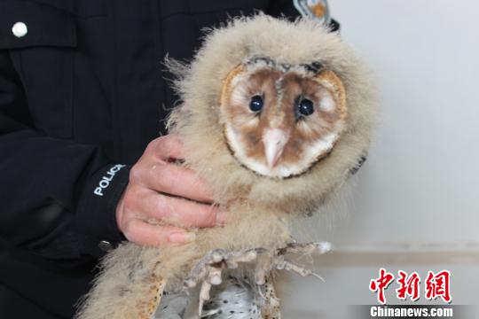 ͼΪ��ʦ�������Ĺ��Ҷ�������������^ ���� ��