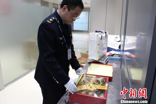 ���������ڰ��ػ�������˲Ρ�