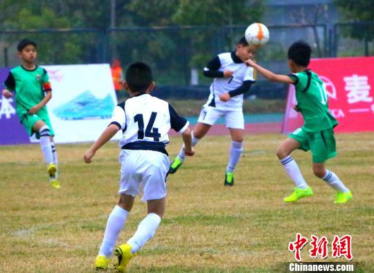 ͼΪ�����ֳ��������� ��