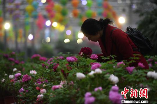 ͼΪ�������ڹ���ĵ���������³� ��