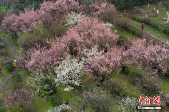 2��3�����й���ʮ�Ľ����еĵ�һ������������������Ȼ�Ͼ���������������������÷������̺죬ɢ���Ŵ������Ϣ����������� �� ��