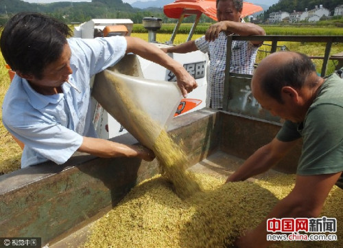 2016��9�£������˲�ũ���ջ񵾹ȡ�ͼƬ��Դ���Ӿ��й�