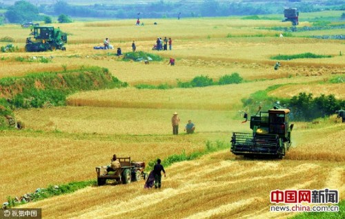 ���϶���ũ������ͼ��ͼƬ��Դ:�Ӿ��й�