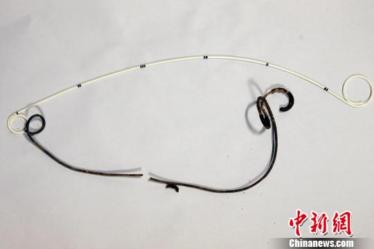 �ӳ���������ȡ���ĵ��ܣ��ѱ�ɺ�ɫ�������� ��