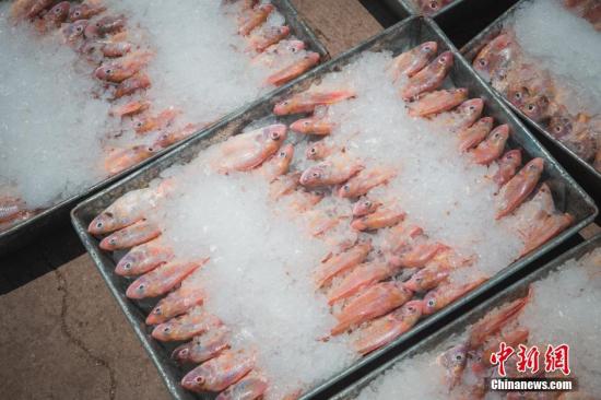 ����ͼ ���ʡ� ��������� ���� ��