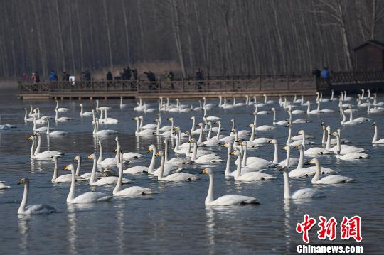 ����13��̽��ɽ��ʡ�˳���ƽ½�أ�������Ļ������ˮů���졯��֪���ľ�ɫ��ͼΪ��������һ�𡣡��信�� ��