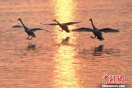 ����13��̽��ɽ��ʡ�˳���ƽ½�أ�������Ļ������ˮů���졯��֪���ľ�ɫ��ͼΪ�ճ�ʱ�Ĵ���졣���信�ܡ���