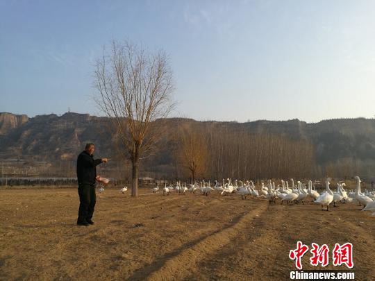 ����13��̽��ɽ��ʡ�˳���ƽ½�أ�������Ļ������ˮů���졯��֪���ľ�ɫ��ͼΪ����Ա��Ѳ��Ա�ν�ϲι������������������� ��