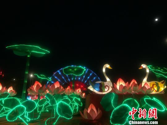 ��ʽ����������� ����Ϊ ��