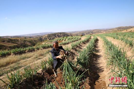 ����ͼ����ɽ���������������������������ڰδС� ��Զ ��