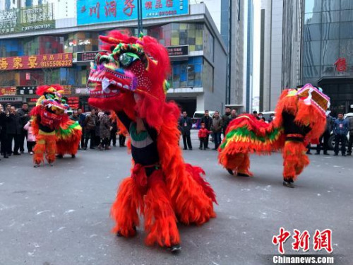 ����ͼ���ຣũ�����ӱ��ݡ���ʨ�����������