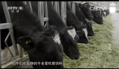 �ִ����ӹ�����ȷ��ţ�̰�ȫ��Ӫ��