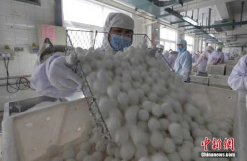 2017��2��8�գ����������Ա���ӽ�����Ԫ����Ԫ������ɸ��������������� ��ɼ� ��