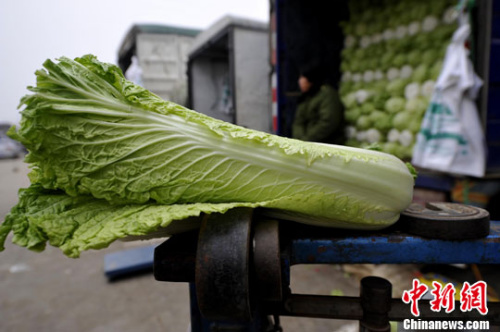 ����ͼ���ײˡ�