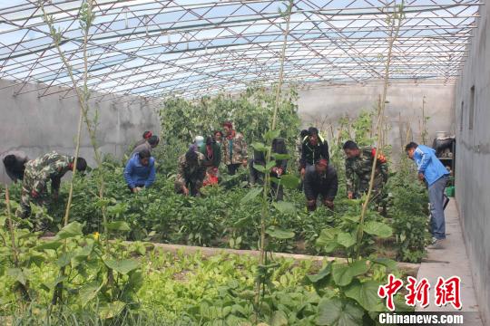 ��Ӫ�����գ������߷��ɳ����������������뵽��λ����һ�����������ֲ�߲˹Ϲ��ľ��顣������� ��