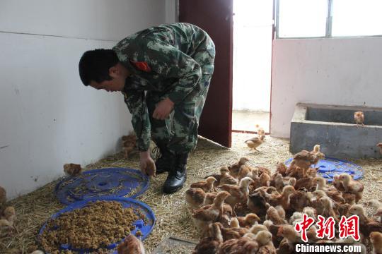 �����߷��ɳ���Ϊ���Ϲٱ��ġ������ӡ���ר������һȺ���ݡ�ͼΪ�ٱ�����������ɨ���ᡣ������� ��