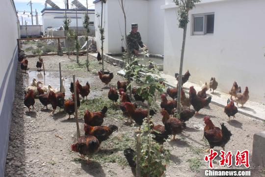 �����߷��ɳ���ר�Ż�����һƬ���ݷ���������ֳ�˼�ʮֻ����Ѽ���졣������� ��