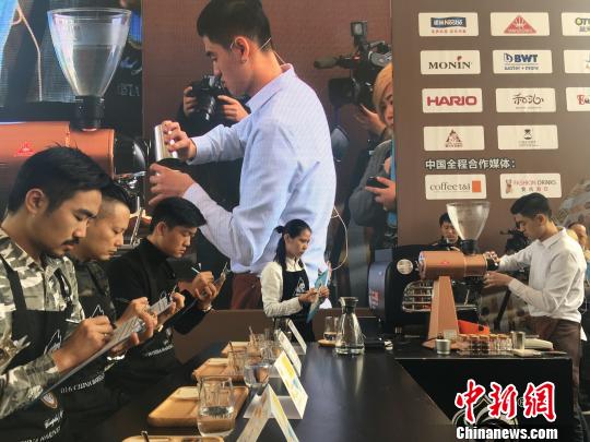 2017���翧��ʦ�����й�����ѡ����������������¡������� ��