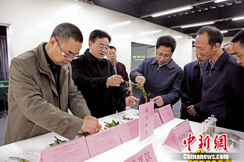 �й�ʯ��������������ί��������ʵ�ص���ݻ�˲�ҵ��չ��