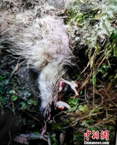 ������è��ʳ��ɽ��ʬ�塣������ ��