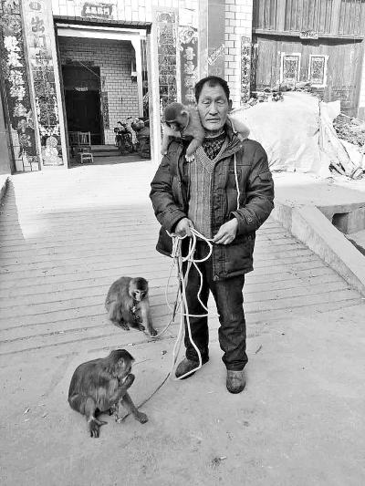 ��Ұ��Ϸ�������ֹ󣺺�����ǿ��Ϸ 6ֻ����15��