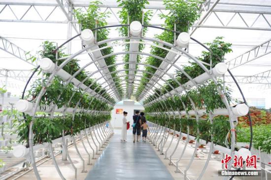 ����ͼ ��������������չ�ݲιۡ� ��������� �ؿ��� ��