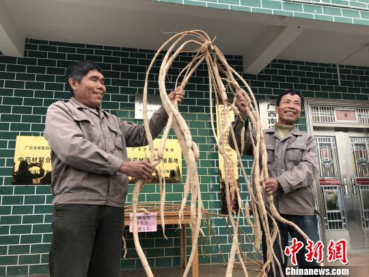 ��������¥�����չʾ6��������ҩţ�����������ӽ�ɺ ��