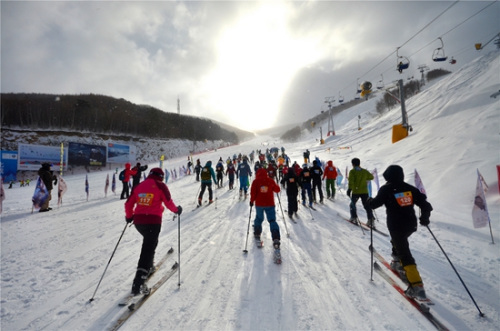 �й���ɽЭ�ṩͼ���ڷ� ��