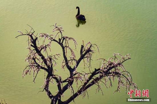 �����γǴ��÷���壺��԰��ɫ�ز�ס������ˮůѼ��֪���� ��