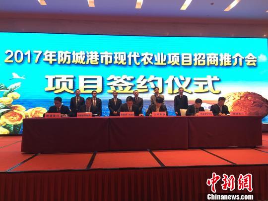 ǩԼ��ʽ ���� ��