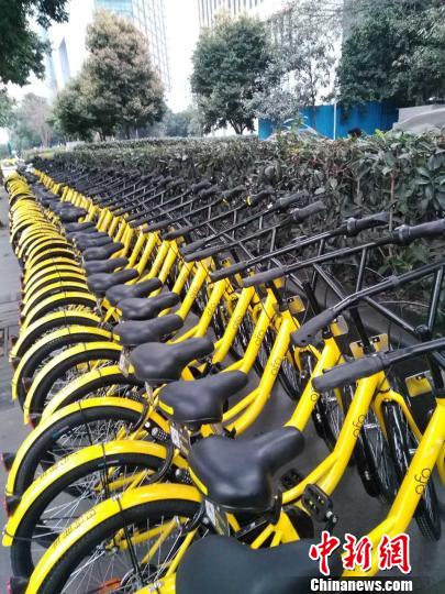 �ɶ���ͷ��ofo����������־�� ��