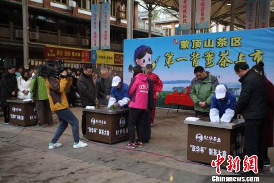 ֱ���²��������� Ҷ���� ��