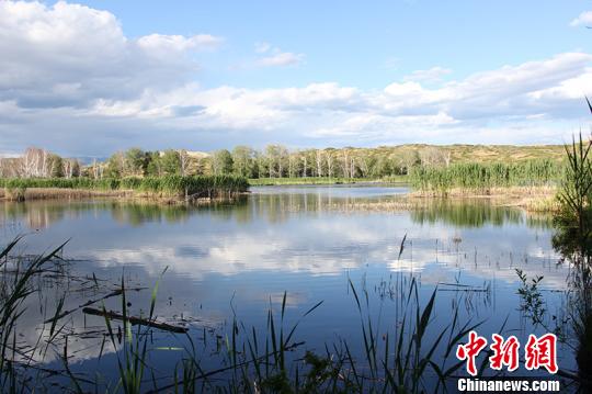 ͼΪ����İ�ɳ��������������ͼ�����������