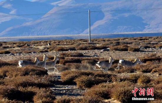 ����ͼ ǰ�����������;���洦�ɼ���Ұ����� ���� ��