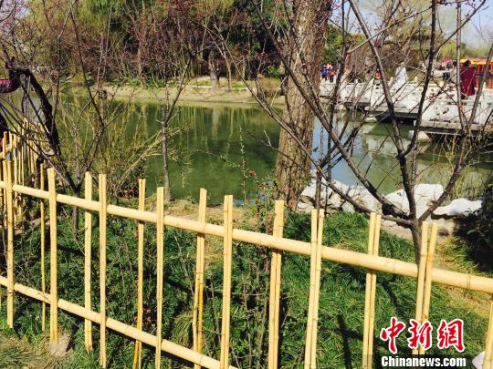 �������������򲻼���쵰��Ҳ����������졣���޼��� ��