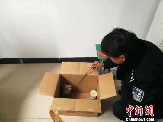 Ŀǰ�����˵Ĳ��^��һ���񾯸���ι��������Ȭ�����ٷŹ����Ȼ�������� ��