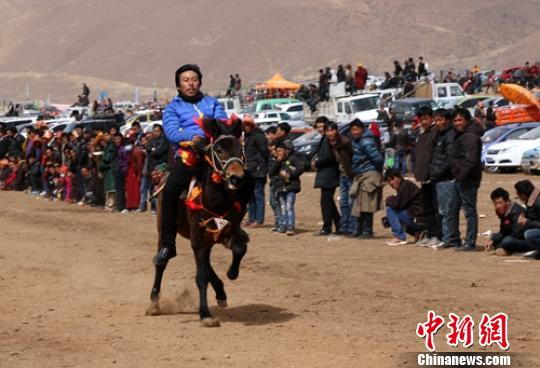 �������������Ϻ����֡�����Ӧ�� ��