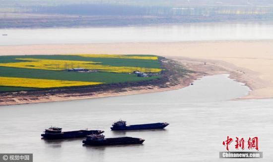 ����ͼ 2017��3��2�գ����人��������������һƬ���ޣ�Զ������һ�š���ĸ�̡���ʯ��Ƕ���ۻ�Ľ��棬����Ǹ��д���ɫ�ʵġ������ޡ��� ���� �� ͼƬ��Դ���Ӿ��й�