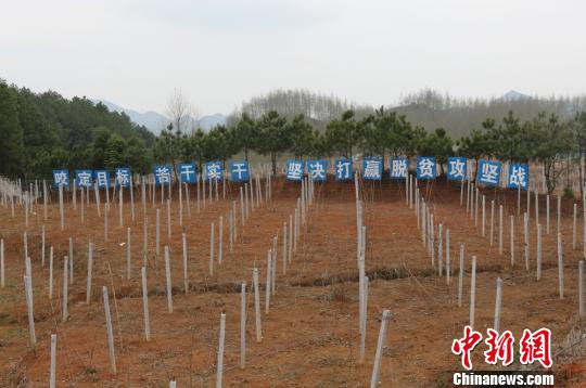 ⨺��һ��ء�����С�� ��