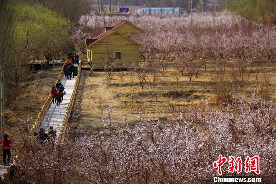 ͼΪ�ο����п�ѷ��Ķ��԰�ͻ�������� ��