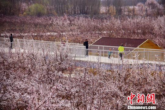 ͼΪ�ο���������֮�С������ ��