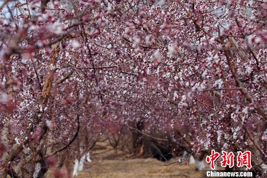 �½��п�ѷ�������ӻ�ŭ�š������ ��