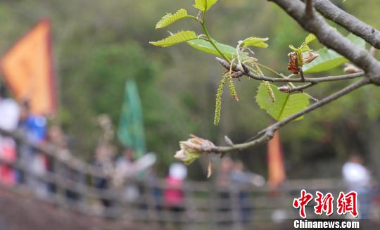 2017������ľ����������12���ڹ㶫���ݿ�Ļ���������� ��