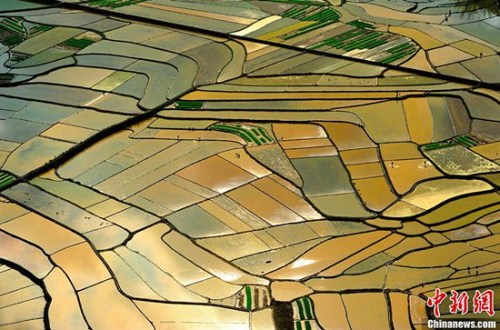 ����ʿ ����԰���ϡ�