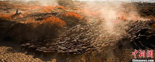 �պ� ������ת��·��